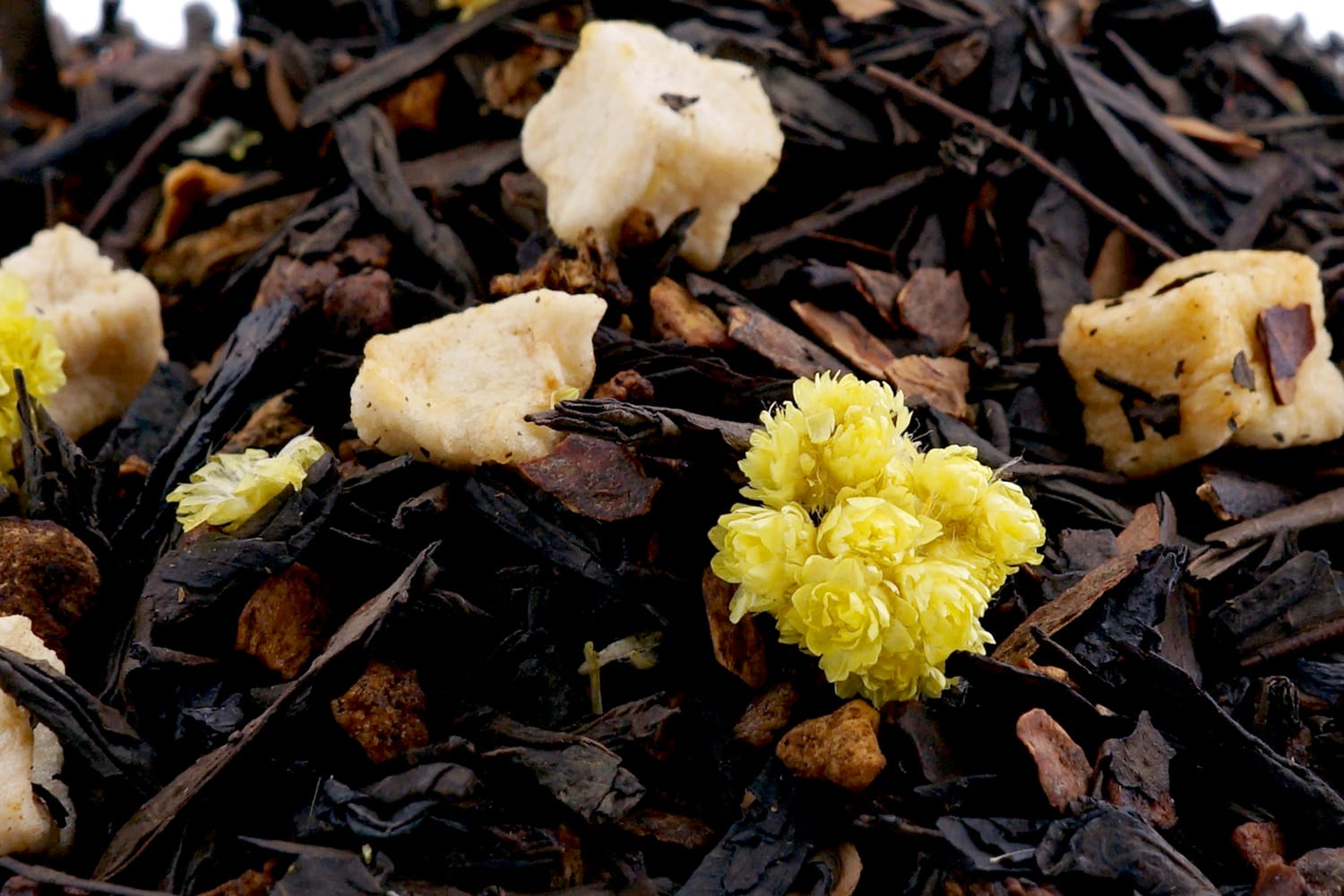 Hōjicha Cookie Cloud